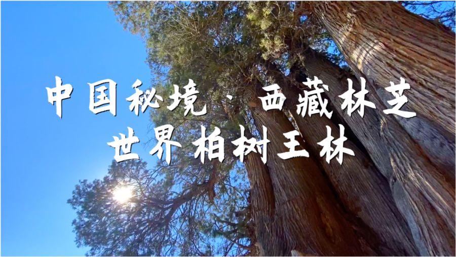 被困的小恶魔